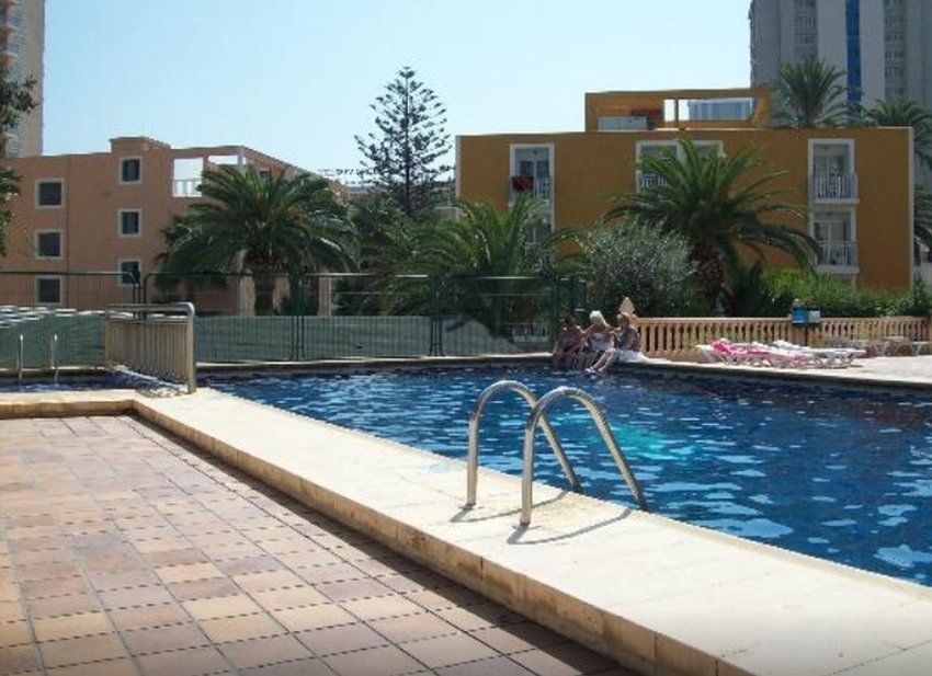 Apartamentos Palm Court Benidorm Exterior photo