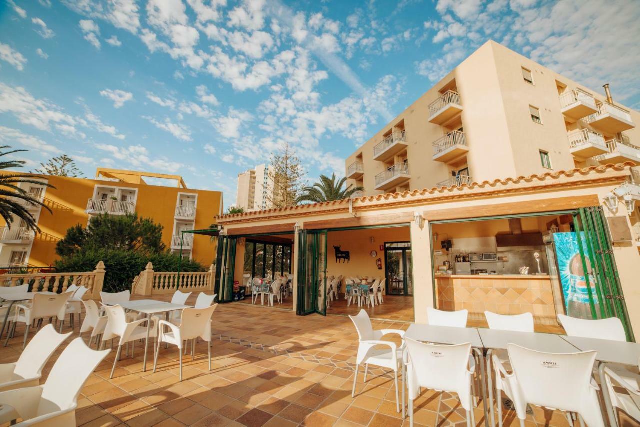 Apartamentos Palm Court Benidorm Exterior photo